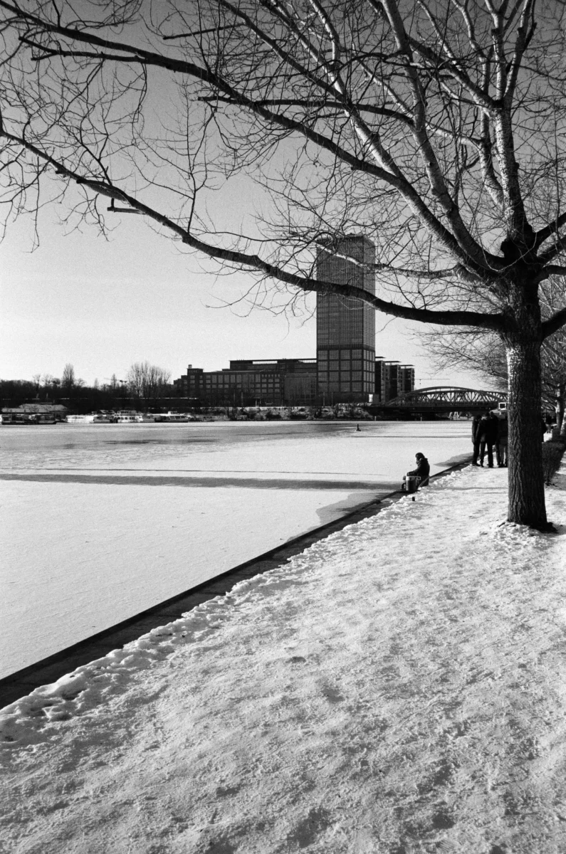 nikita-pishchugin-Q-YnJLbH8ug-unsplash