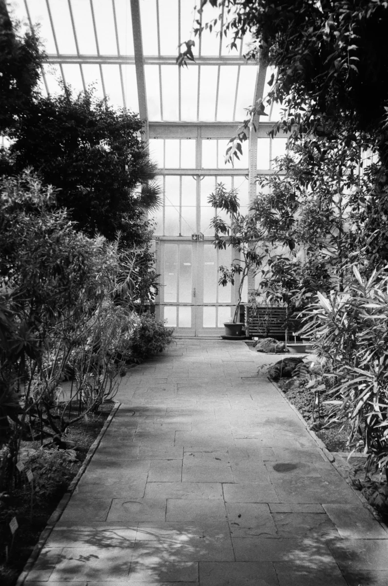 oksana-demenko-MTfcky3g7X4-unsplash