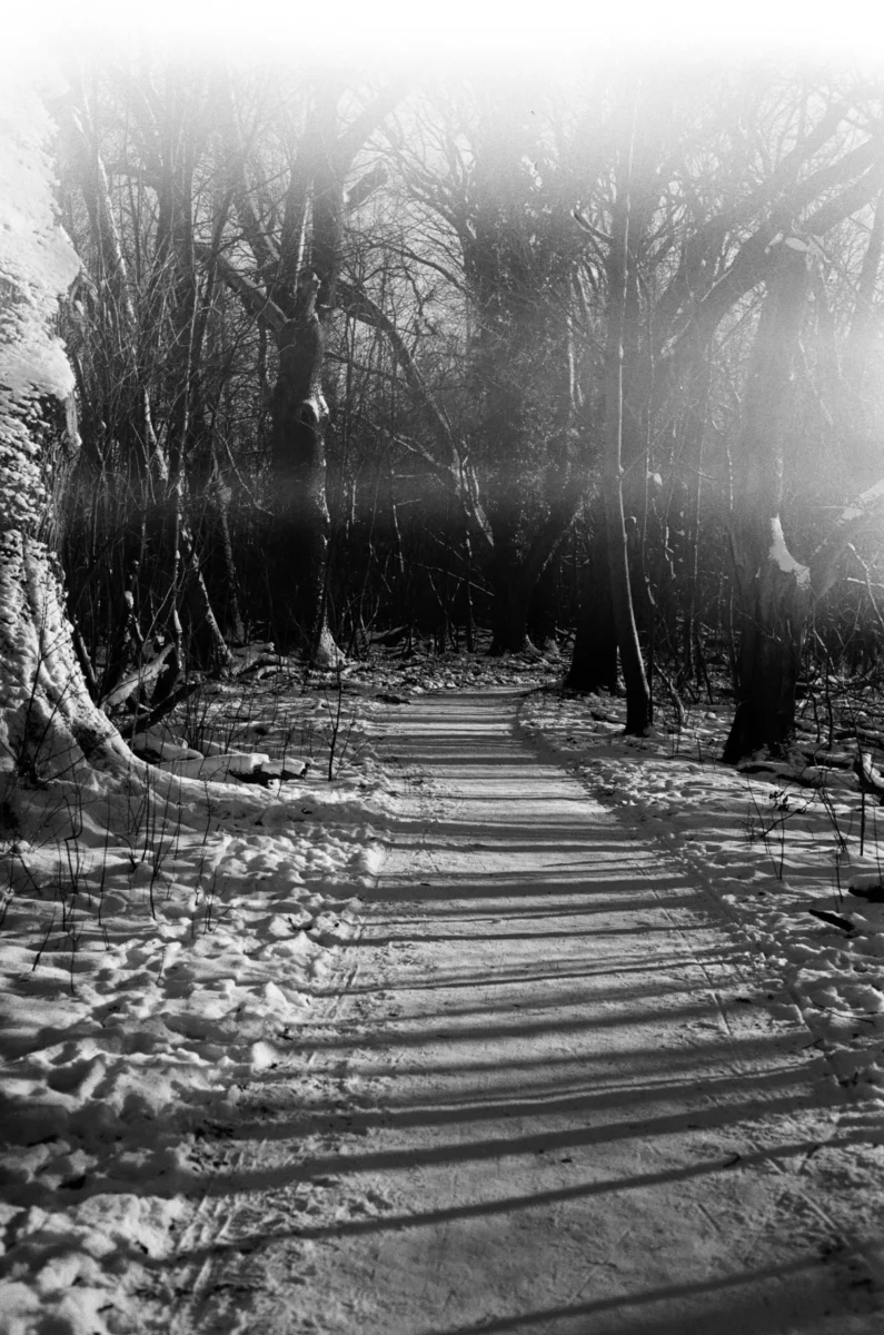 oksana-demenko-mu_p_ehG9K0-unsplash