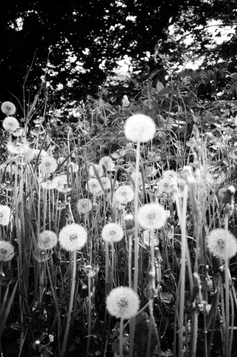 oksana-demenko-tYez7oq0a7k-unsplash