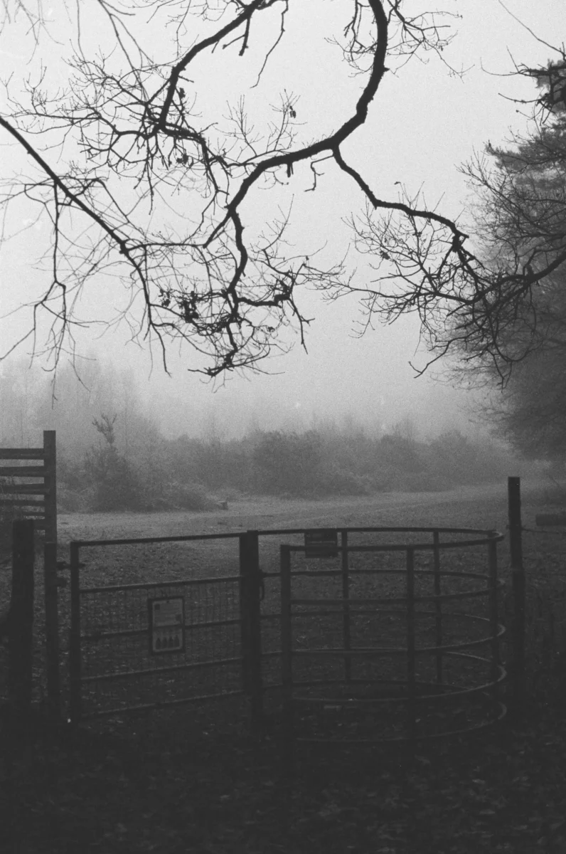 tanya-barrow-vl2CEcC4vTI-unsplash