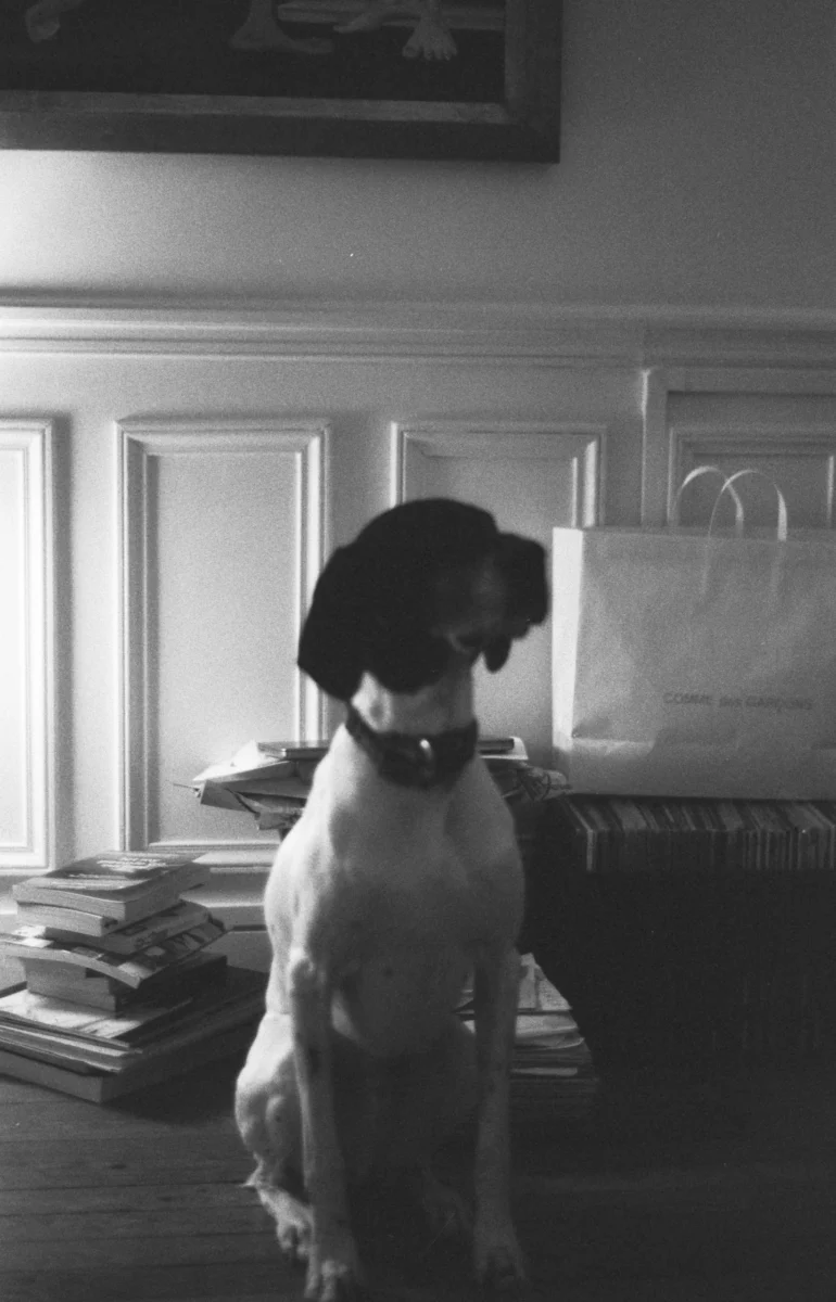 tanya-prodaan-ZYPWBESWVpo-unsplash